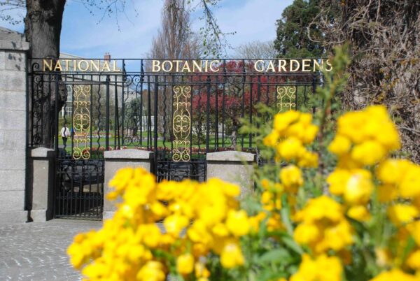 Glasnevin Village featured Image