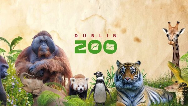 Dublin Zoo featured Image