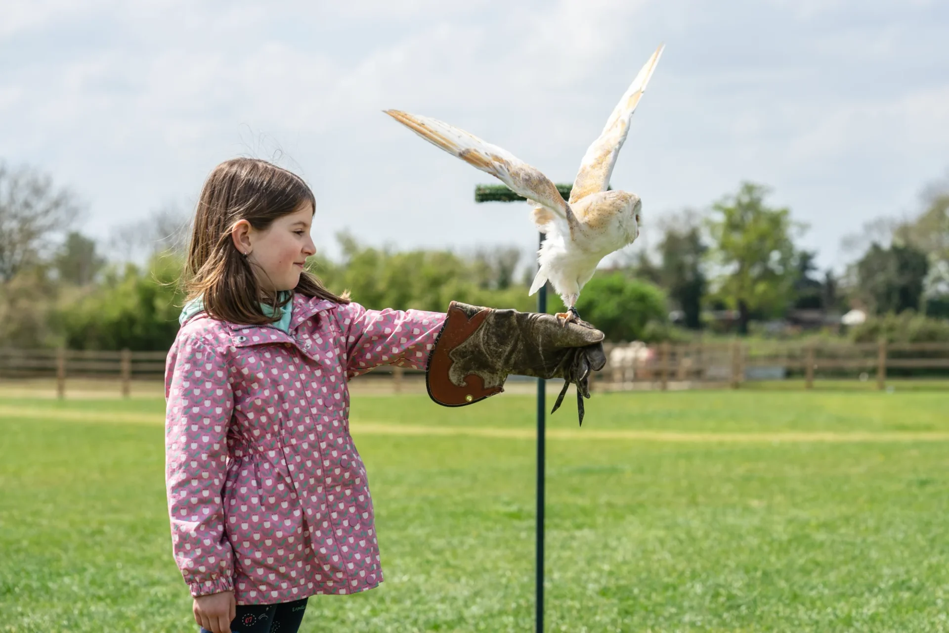 Local Attractions Hero Image