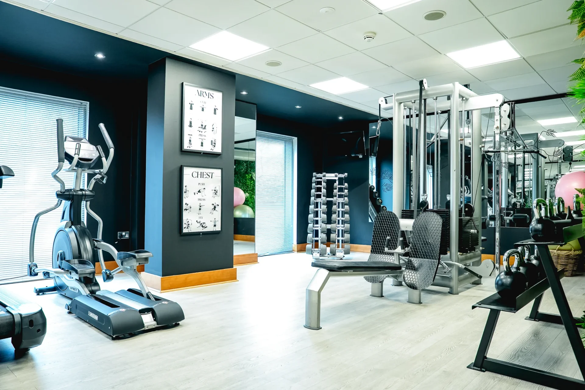 Gym Hero Image