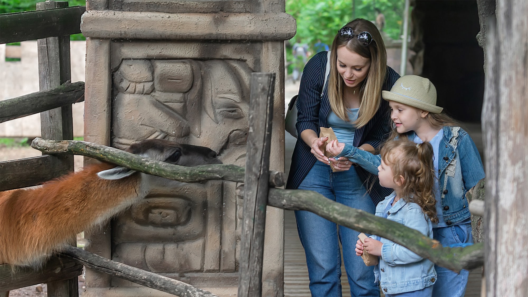 Explore Dublin Zoo and have a family holiday at Crowne Plaza Image